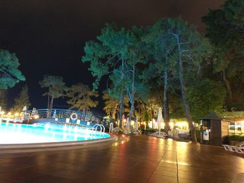 Illuminated trees by water at night