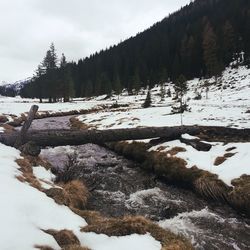 Scenic view of snow covered mountains