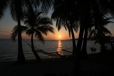 Silhouette palm trees on beach during sunset