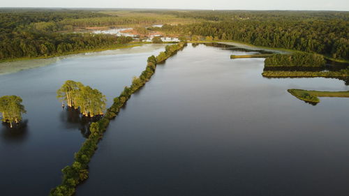 Bird eye view of lakes and forest against sky