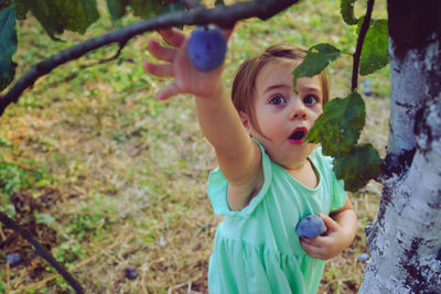 Baby girl picking fruit from tree on land