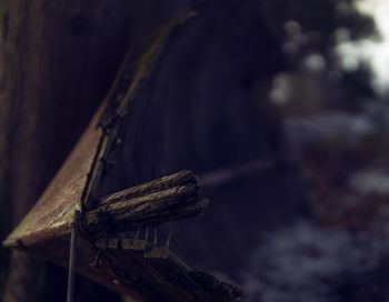 High angle view of insect on rock