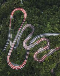 Aerial view of winding road in forest
