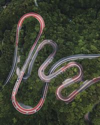 High angle view of winding road in forest