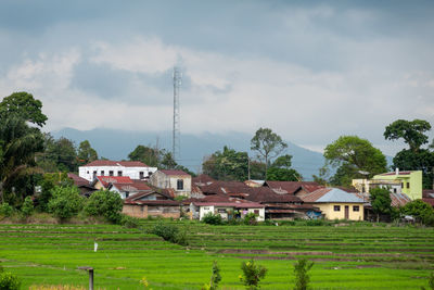 Houses on field against sky