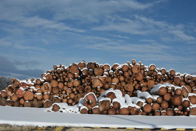 Stack of logs on field by sea against sky