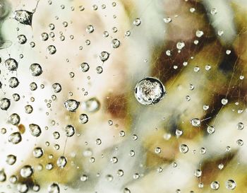 Close-up of water drops on glass