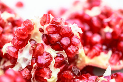 Close-up of pomegranate against white background