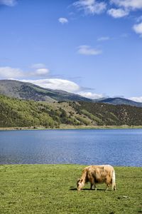 Scenic view of landscape against cloudy sky