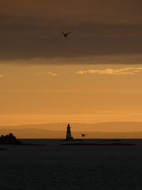 Scenic view of sea, lighthouse and seagull against golden sky during sunrise 