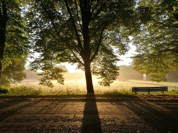 Empty bench in park