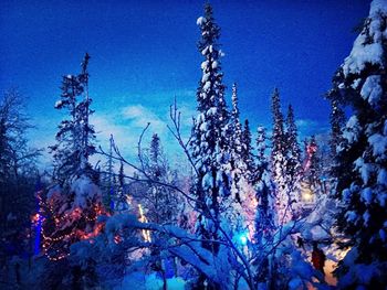 Low angle view of trees against blue sky at dusk