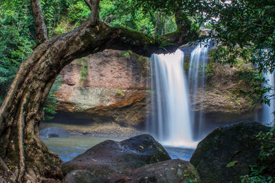 Scenic view of waterfall in forest