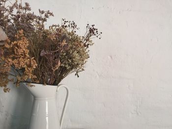 Close-up of white flowers