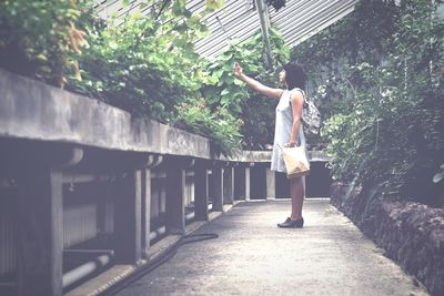 Full length of woman standing on tree trunk