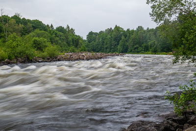 Scenic view of river flowing in forest against sky