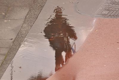 High angle view of puddle on beach