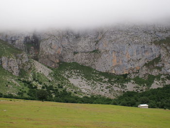 Scenic view of landscape with trees in background