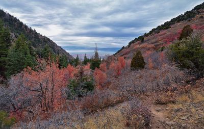 Slate canyon views from hiking trail fall, provo peak, slide rock canyon, wasatch  front, utah usa