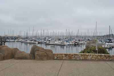 Sailboats moored at harbor against sky