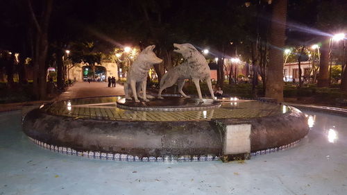 View of fountain in park at night