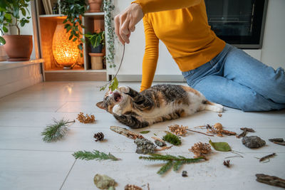 Low section of woman holding cat