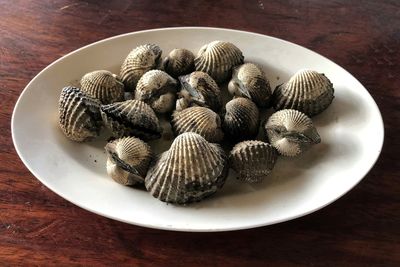 High angle view of shells in plate