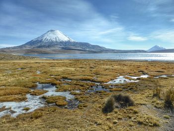 Scenic view of landscape with mountains in background