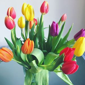 Close-up of tulips blooming against sky