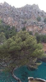 Scenic view of mountain
