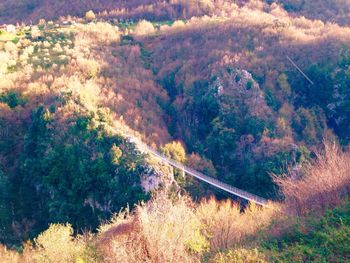 Scenic view of landscape