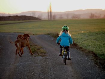 Girl riding bicycle by dogs on road