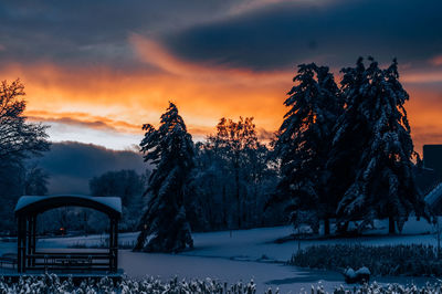 Trees on snow covered field against sky during sunset