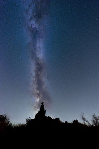 Low angle view of trees against sky at night