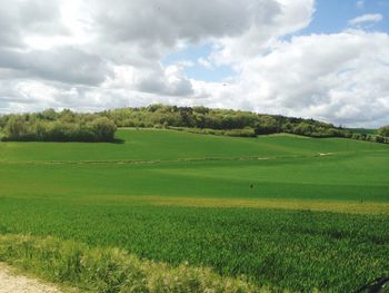 Scenic view of grassy field against cloudy sky