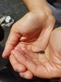 Close-up of baby hand