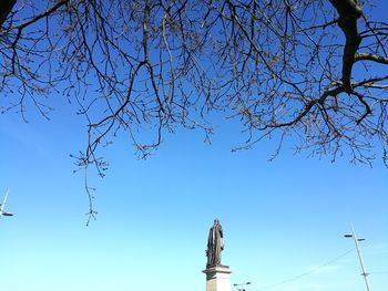 Low angle view of tree against blue sky