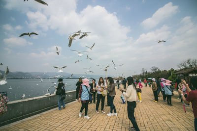 People with seagulls flying against sky