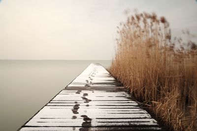 Wooden pier on sea against sky