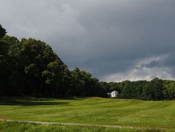 Trees and grass against sky