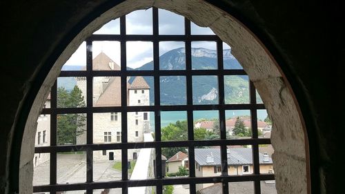 Trees seen through window