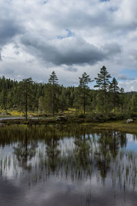 Reflection of trees in lake against sky