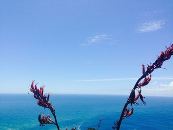 Scenic view of sea against blue sky