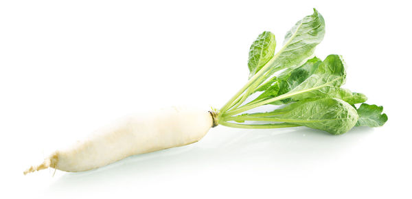 Close-up of leaf over white background