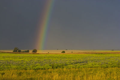 Scenic view of rainbow over field