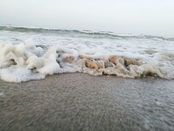 Close-up of dog by sea against sky