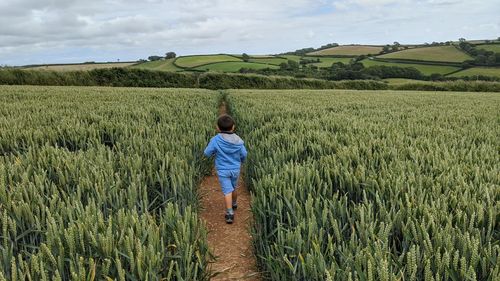 Rear view of boy walking amidst plants