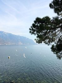 Scenic view of lake against sky