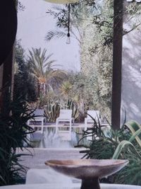 Potted plants on table during winter