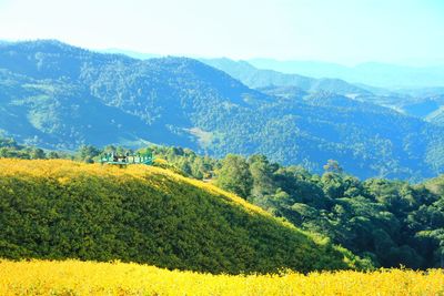 Scenic view of field against mountains